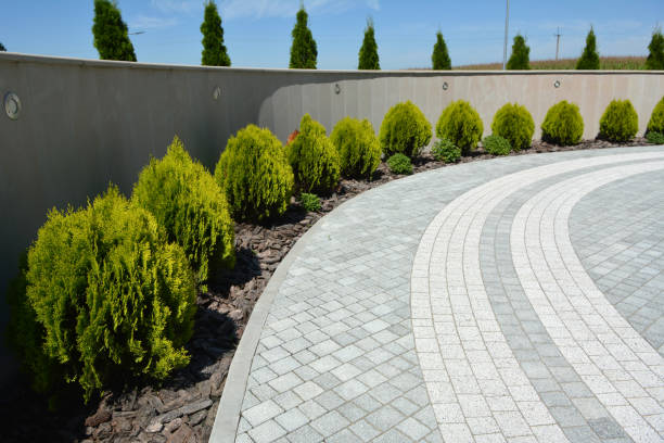 Best Professional Driveway Pavers  in Lake Lorraine, FL